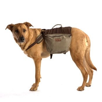 Aussie Dog Backpack Gear