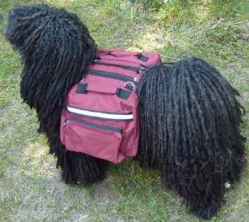 Dog Backpack for Dogs