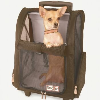 Best Dog, Pet Carrier With Wheels and Handle. Also Airline Approved.