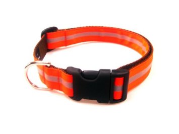 Sassy Dog Wear Adjustable Orange Dog Collar